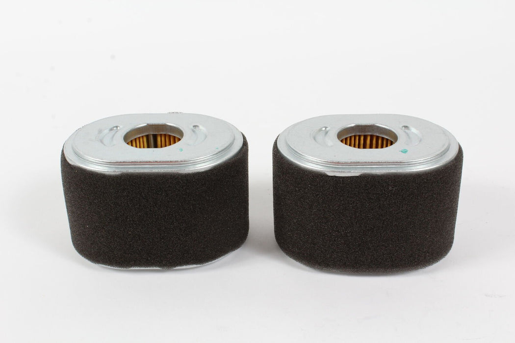 2 Pack Genuine Honda 17210-Z4M-821 Air Filter Fits GX120 GX140 GX160 GX200 OEM