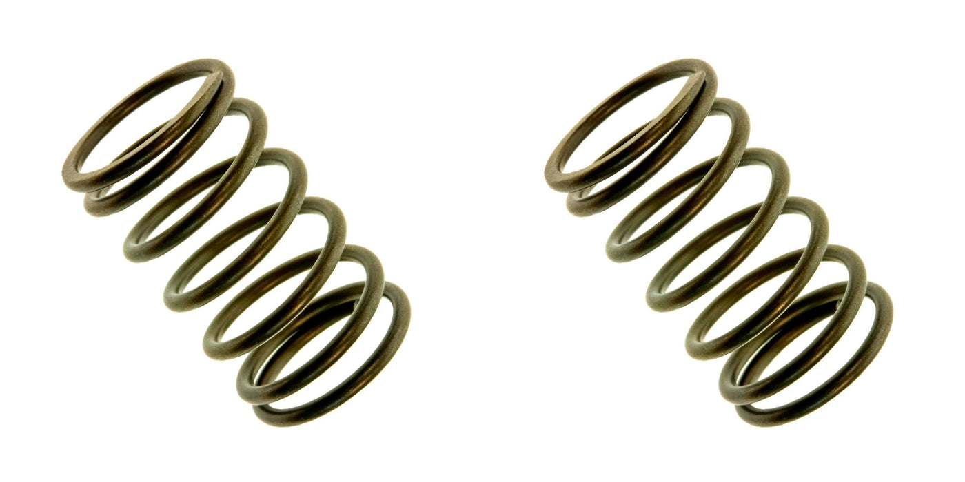 2 Pack Genuine Honda 14751-ZE1-000 Valve Spring OEM