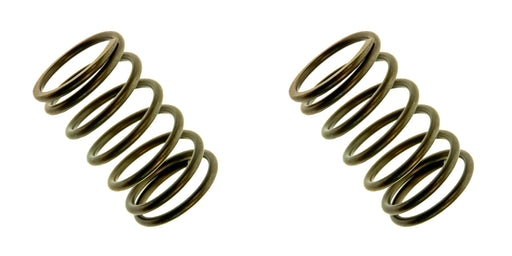 2 Pack Genuine Honda 14751-ZE1-000 Valve Spring OEM
