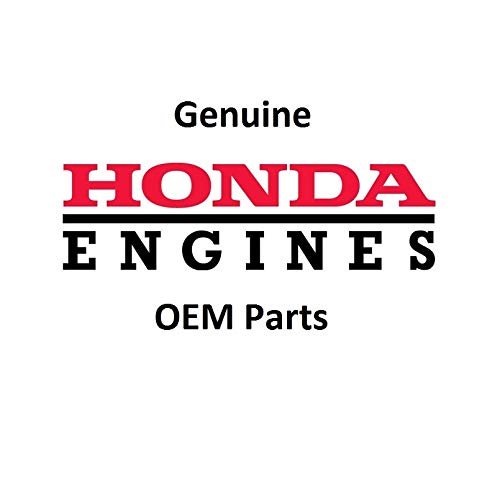2 Pack Genuine Honda 16910-Z6L-003 Fuel Filter OEM