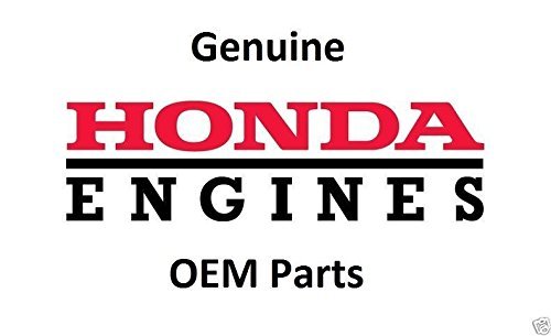 2 Pack Genuine Honda 14751-ZE1-000 Valve Spring OEM