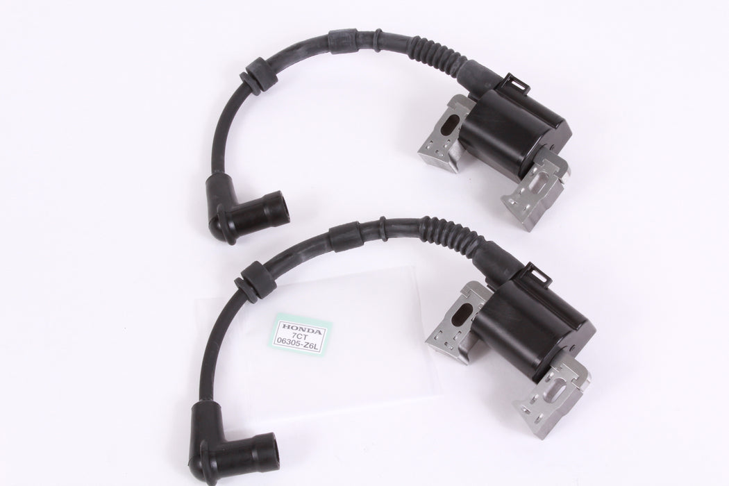 Genuine Honda 06305-Z6L-316 Ignition Coil 2 Pack Set Replaces 06305-Z6L-306