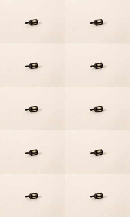 10 Pack In-Tank Fuel Filter Fits Homelite 49422 McCulloch 93720 216985 1/8" Line