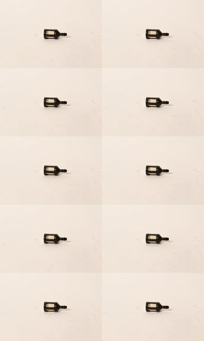 10 Pack In-Tank Fuel Filter Fits Homelite 49422 McCulloch 93720 216985 1/8" Line