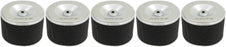 5 Pack Stens 100-818 Air Filter Combo Replaces Honda 17210-ZE2-515