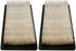 2 Pack Stens 102-024 Air Filter Fits B&S 494511S