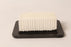 Genuine Kawasaki 11029-2026 Air Filter Element Fits KRB650 11029-2022 OEM
