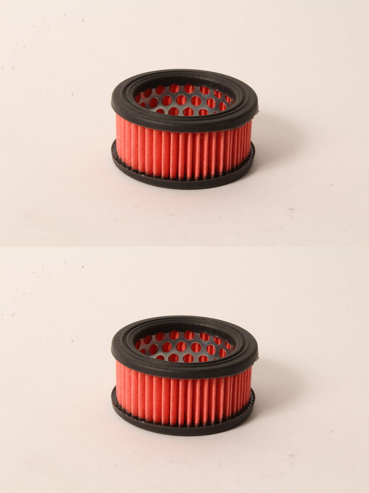 2 PK Genuine Echo 13030039730 HD Air Filter ASM CS370 CS400 CS5000 CS370F CS3500