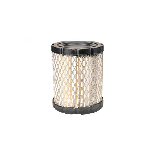 Rotary 14289 Air Filter For B&S