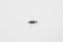 Genuine Kawasaki 16030-7003 Carburetor Float Valve OEM