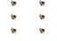 6 PK Rotary 16306 Primer Bulb Kit Fits Echo 90249Y