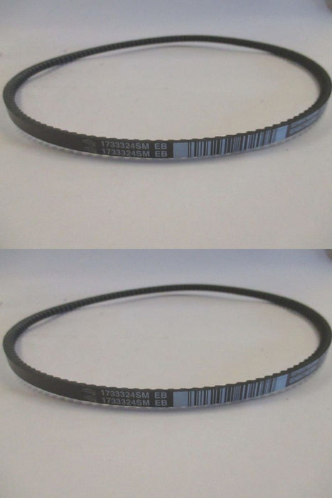 2 Pack Genuine Murray 1733324SM Traction Drive Belt Fits 579932MA 579932 OEM