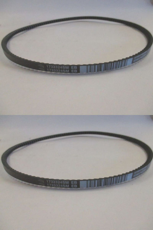 2 Pack Genuine Murray 1733324SM Traction Drive Belt Fits 579932MA 579932 OEM