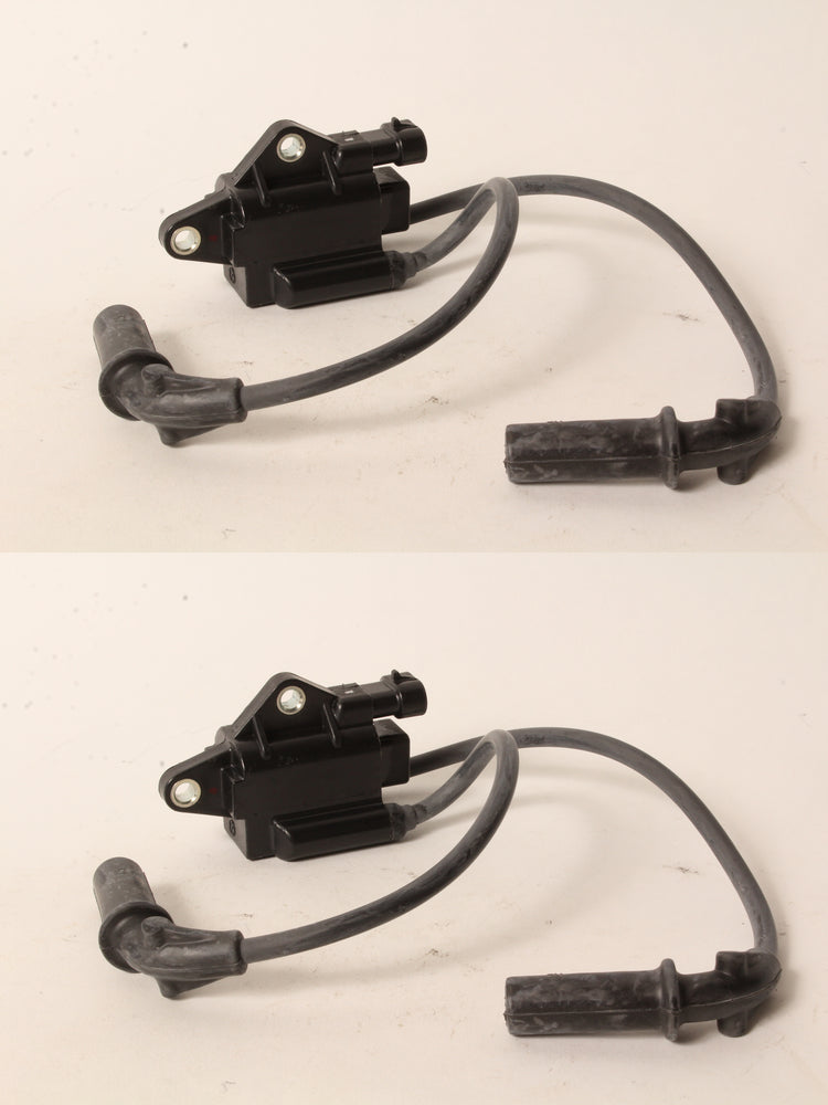 2 PK Genuine Kohler 19-519-01-S Dual Output Ignition Coil OEM