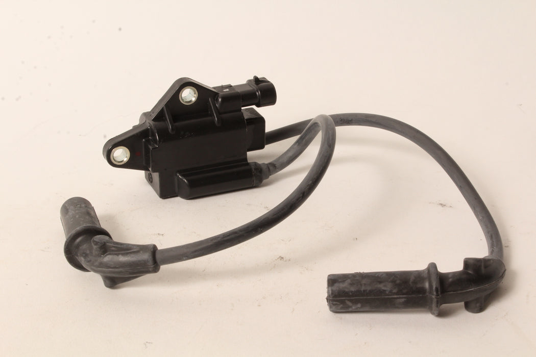 Genuine Kohler 19-519-01-S Dual Output Ignition Coil OEM