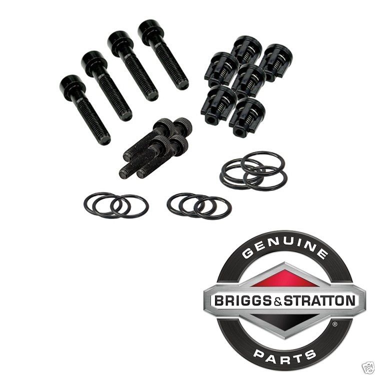 Genuine Briggs & Stratton 190591GS Pressure Washer Pump Check Valve Kit OEM