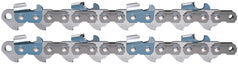 2 Pack Oregon 19HX082E 19HX Harvester Chain 404"