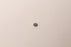Genuine Tuff Torq 1A646024790 IDS Filter 300 OEM