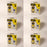 6 Pack Karcher 2.863-006.0 Dry Vacuum Paper Filter Bag WD4 WD5 WD5P WD6 MV4-MV6