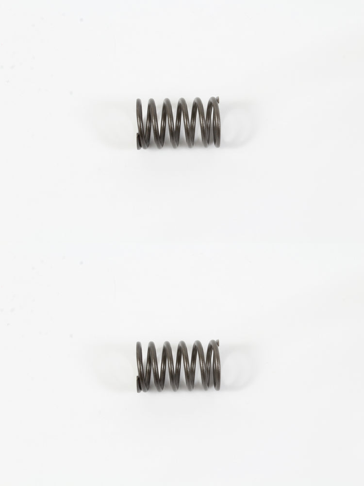 2 Pack Genuine Kohler 25-089-17-S Valve Spring OEM