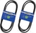 2 Pack Stens 265-725 OEM Replacement Belt Hustler 784249