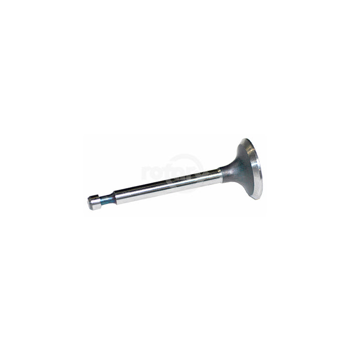 Rotary 2830 Intake Valve For Kohler