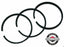 Genuine Briggs & Stratton 298982 STD Piston Ring Set OEM