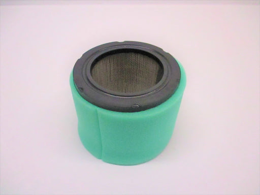 Oregon 30-432 Air Filter Fits Onan 140-1891 4000BGE Emerald