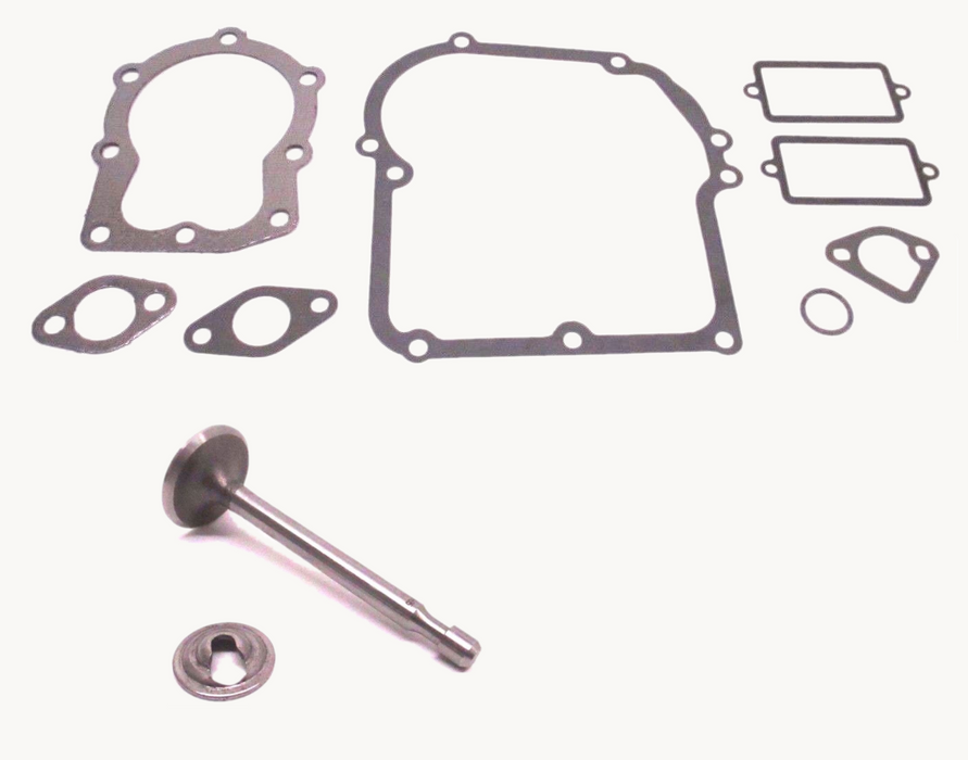 Genuine Tecumseh 32644A Intake Valve & 36444 Gasket Set Combo OEM