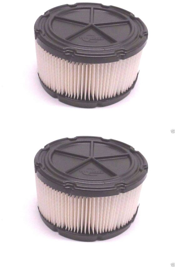 2 Pack Tecumseh 37452 Air Filter Fits OH318EA OH318XA OHM100 OHM110 OHM90 OEM