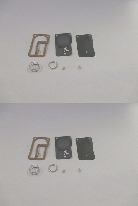 2 Pack Genuine Briggs & Stratton 393397 Fuel Pump Repair Kit OEM