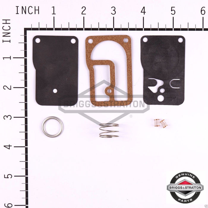 Genuine Briggs & Stratton 393397 Fuel Pump Repair Kit OEM