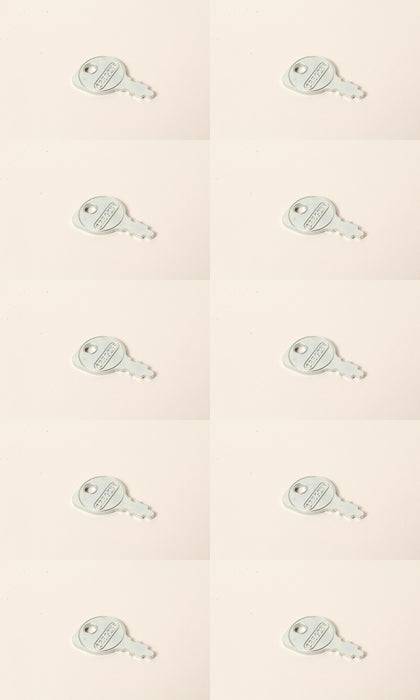 10 PK Ignition Key Fits 95% of Rotary Mowers M40718 20729 4817-02 365410