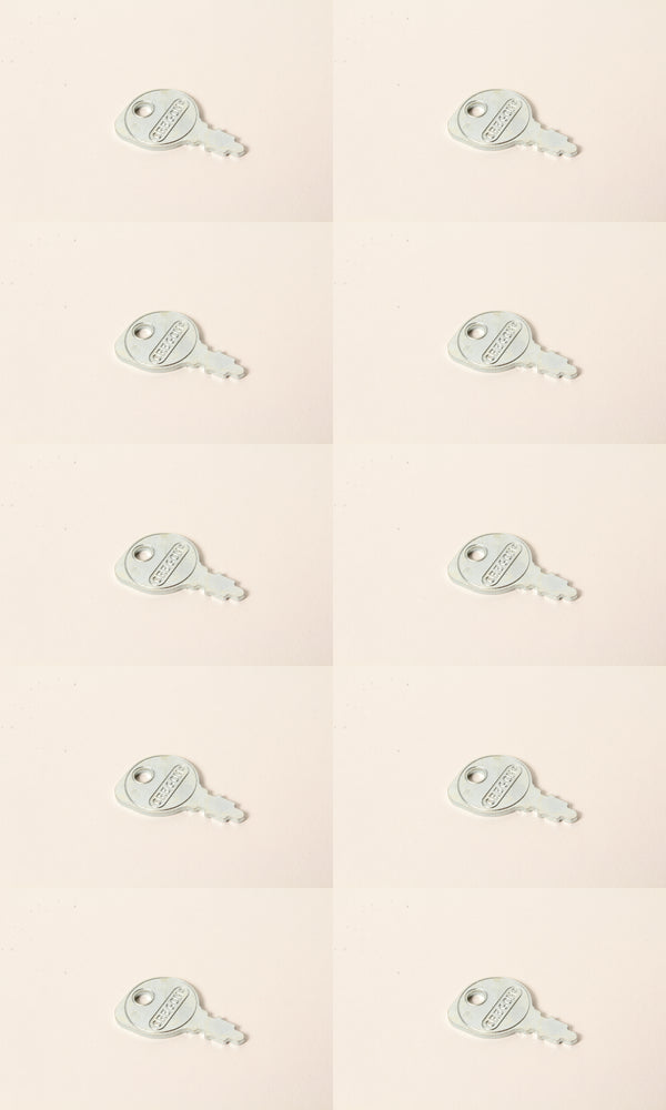 10 PK Ignition Key Fits 95% of Rotary Mowers M40718 20729 4817-02 365410