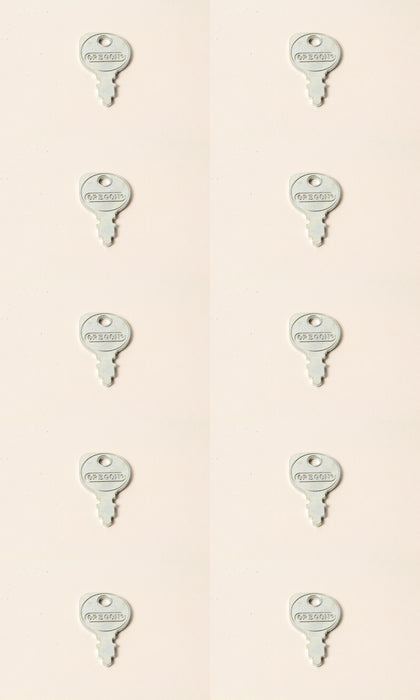 10 PK Ignition Key Fits 95% of Rotary Mowers M40718 20729 4817-02 365410