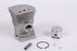 Laser 44116 Cylinder Assembly 40mm Fits Husqvarna 503870073 Model 340