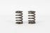 2 Pack Genuine Kawasaki 49078-2068 Valve Spring OEM