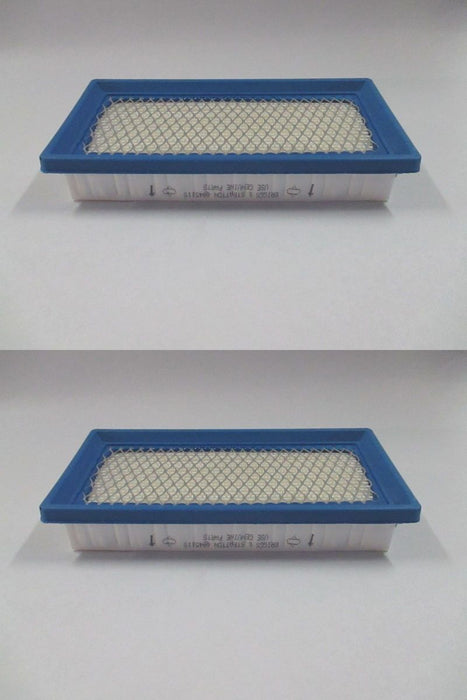 2 Pack Genuine Briggs & Stratton 494511S Air Filter Fits 494511 OEM