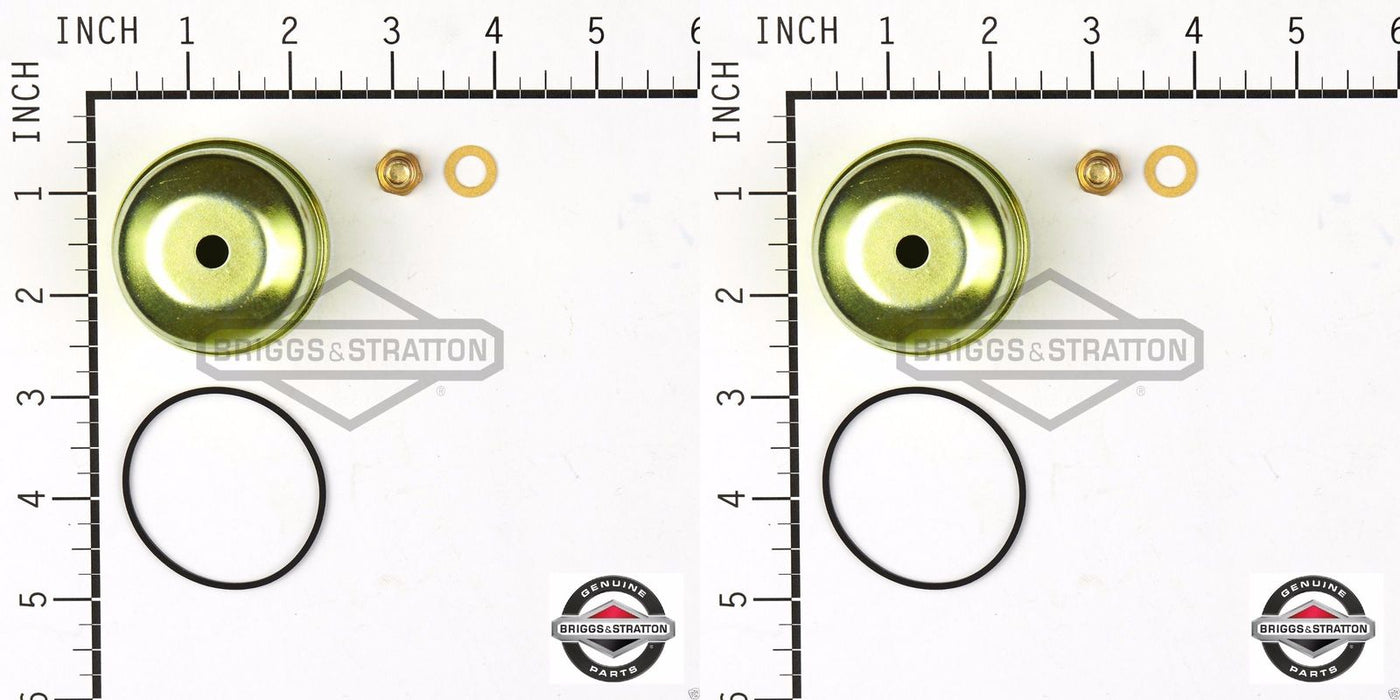 2 Pack Genuine Briggs & Stratton 495933 Carburetor Float Bowl Kit OEM