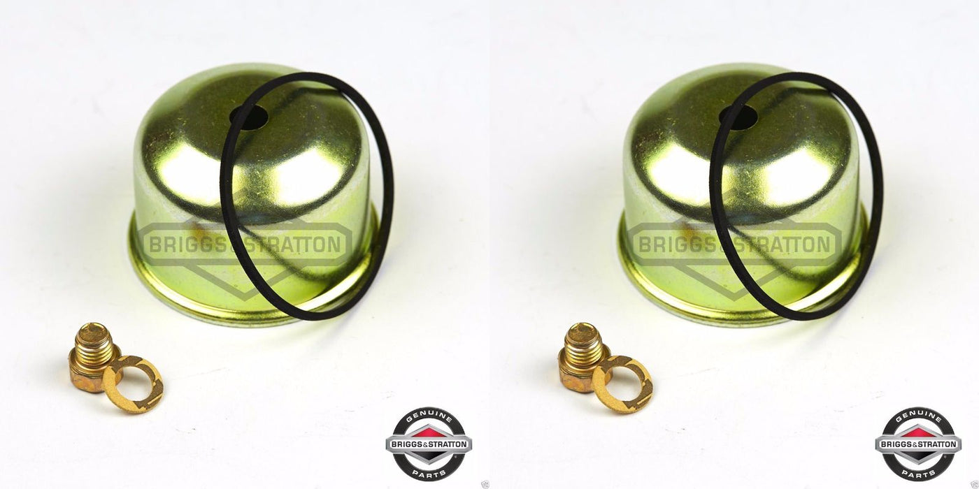 2 Pack Genuine Briggs & Stratton 495933 Carburetor Float Bowl Kit OEM