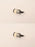 2 Pack Genuine Husqvarna 575960701 Fuel Filter Fits 439 T435 T525 OEM