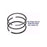 Rotary 6775 Ring Piston Set (Std) Fits Tecumseh