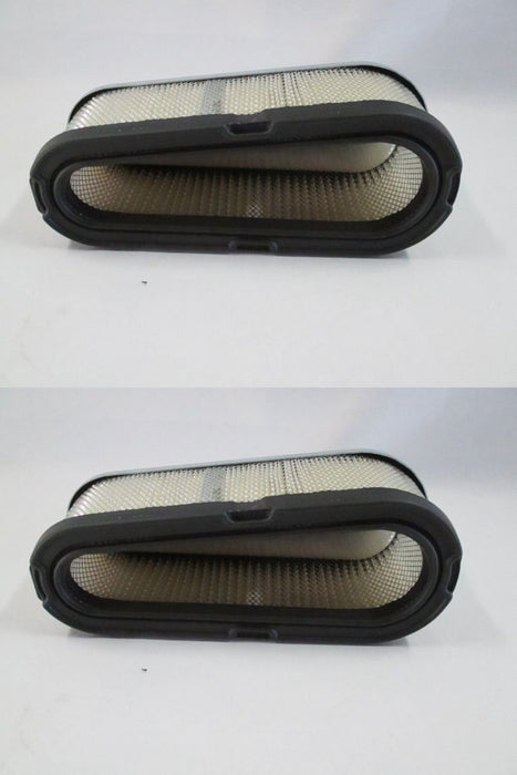 2 Pack Genuine Briggs & Stratton 691667 Air Filter Replaces 493910 OEM