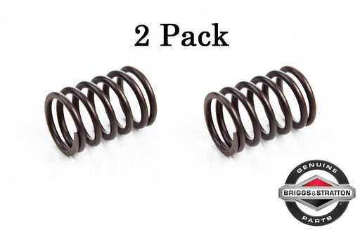2 Pack Genuine Briggs & Stratton 694865 Valve Spring Replaces 263163 690963