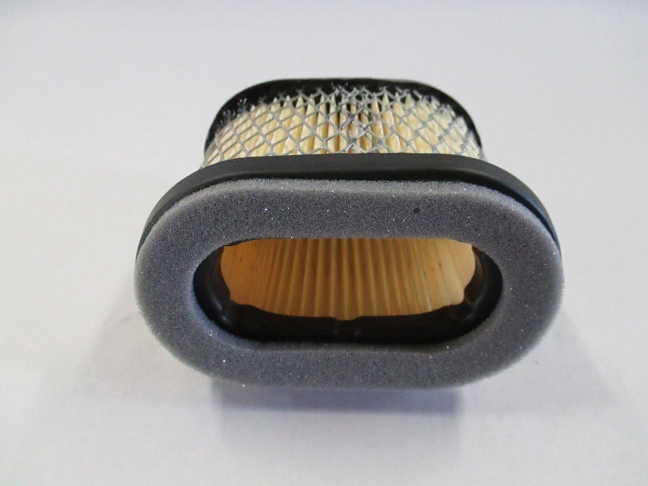 Genuine Briggs & Stratton 697029 Air Filter Replaces 498596 690610 OEM