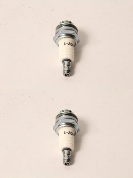 2 PK Oregon 77-307-1 Spark Plug Fits Champion RCJ6Y Bosch WSR5F NGK BPMR7A