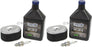 2 Pack Stens 785-644 Engine Maintenance Kit Replaces Honda GX110 & GX120