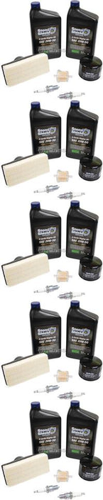 5 Pack Stens 785-682 Engine Maintenance Kit Contains 20W-50 Engine Oil