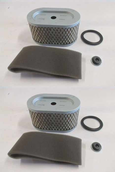 2 Pack Genuine Briggs & Stratton 797033 Air Filter & Pre Filter Combo OEM