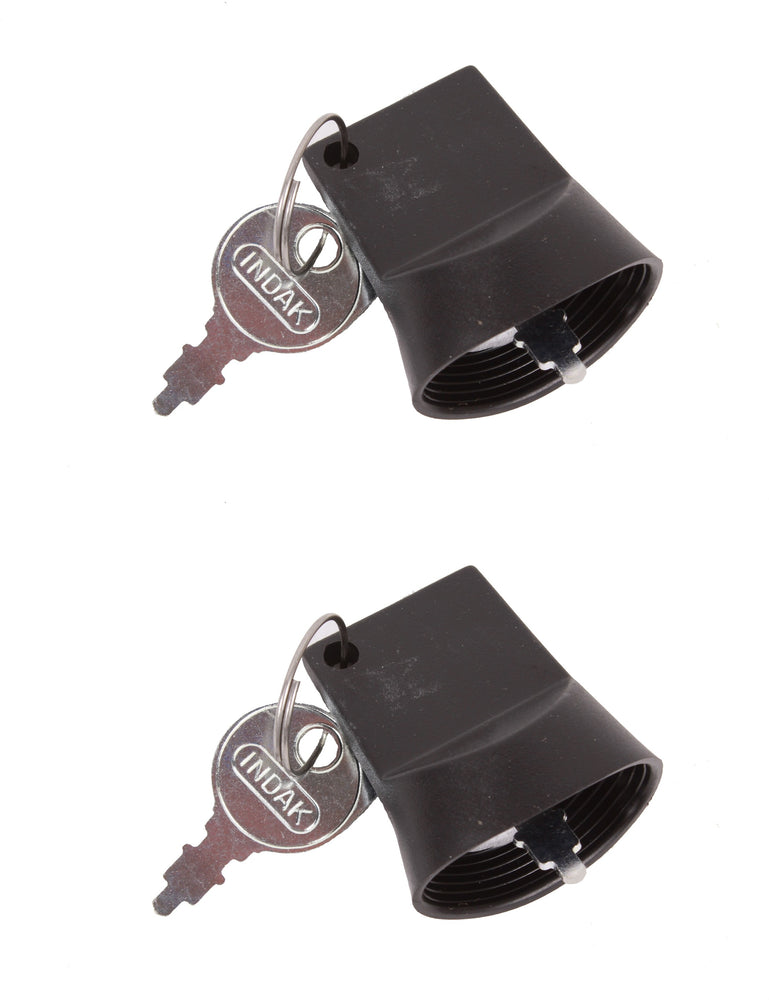 2 Pack Genuine Briggs & Stratton 798177 Ignition Key OEM